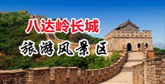 女艹B网站网站中国北京-八达岭长城旅游风景区